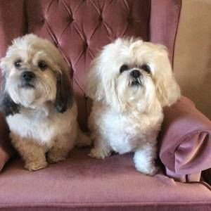 Meet your Posher, Sharon